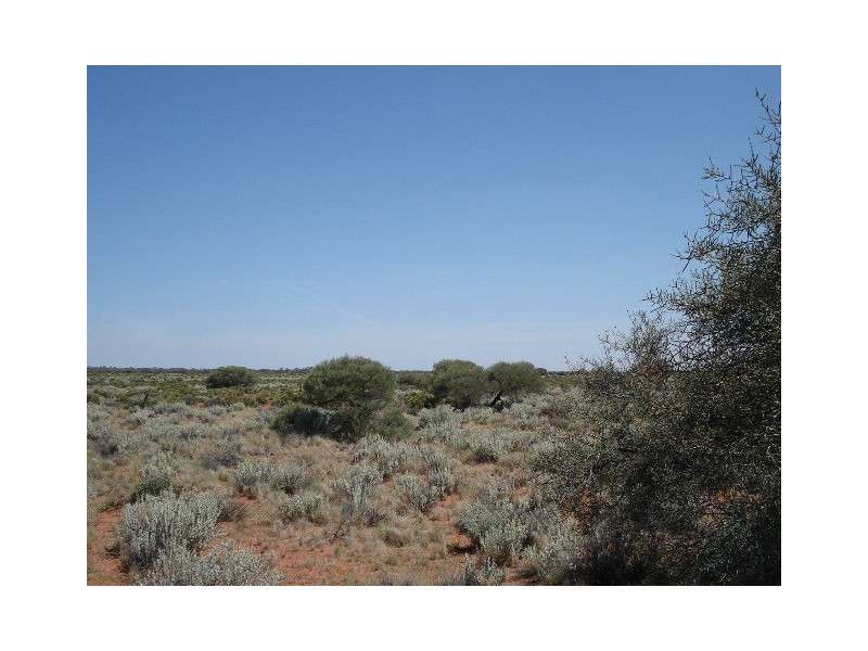 ‘Edah Station’, Yalgoo WA 6635