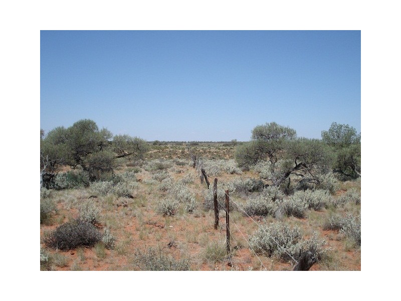 ‘Edah Station’, Yalgoo WA 6635