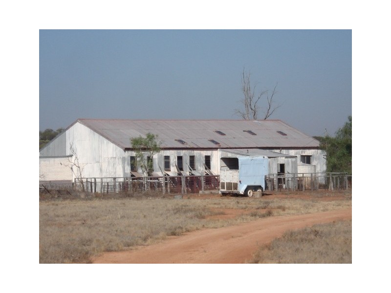 ‘Edah Station’, Yalgoo WA 6635