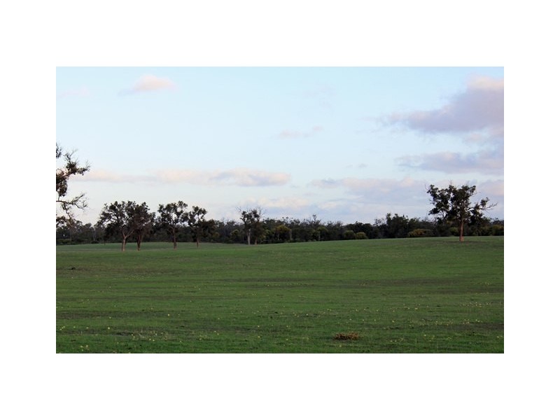 2166 Watheroo Road, Badgingarra WA 6521