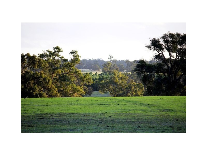 2166 Watheroo Road, Badgingarra WA 6521