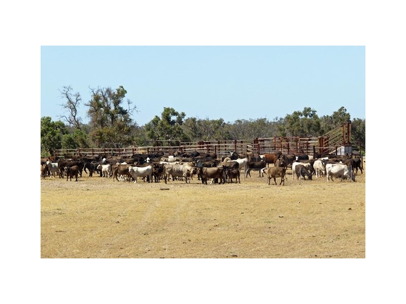 2166 Watheroo Road, Badgingarra WA 6521