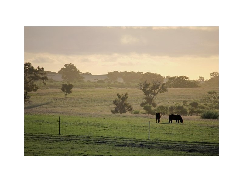 2166 Watheroo Road, Badgingarra WA 6521