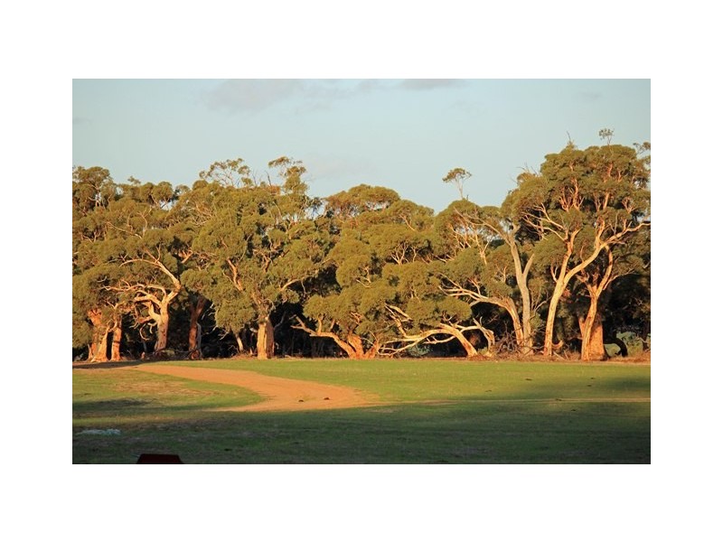 2166 Watheroo Road, Badgingarra WA 6521