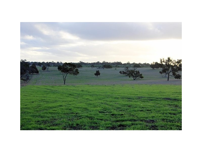 2166 Watheroo Road, Badgingarra WA 6521