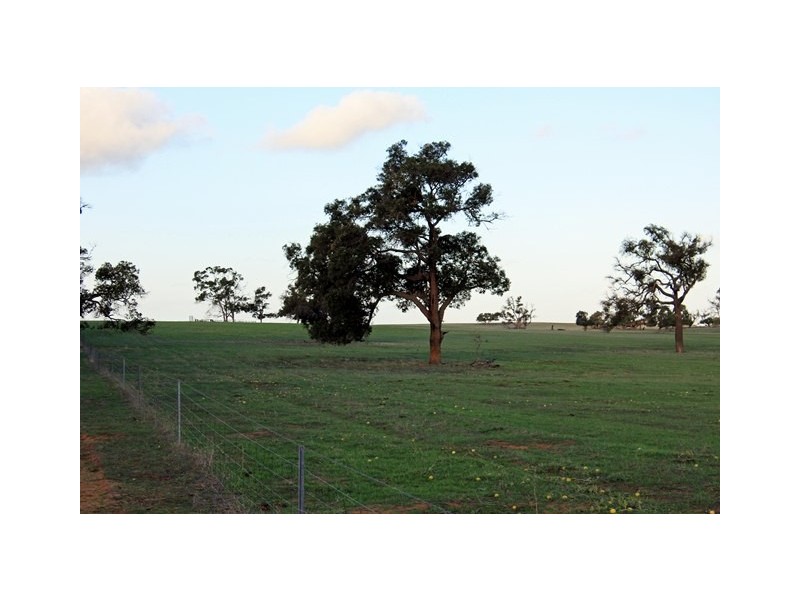 2166 Watheroo Road, Badgingarra WA 6521