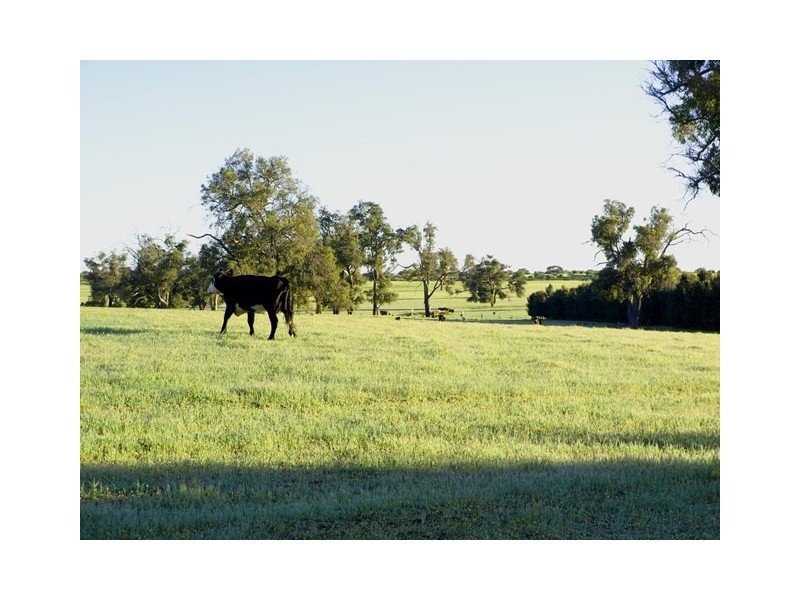 2166 Watheroo Road, Badgingarra WA 6521