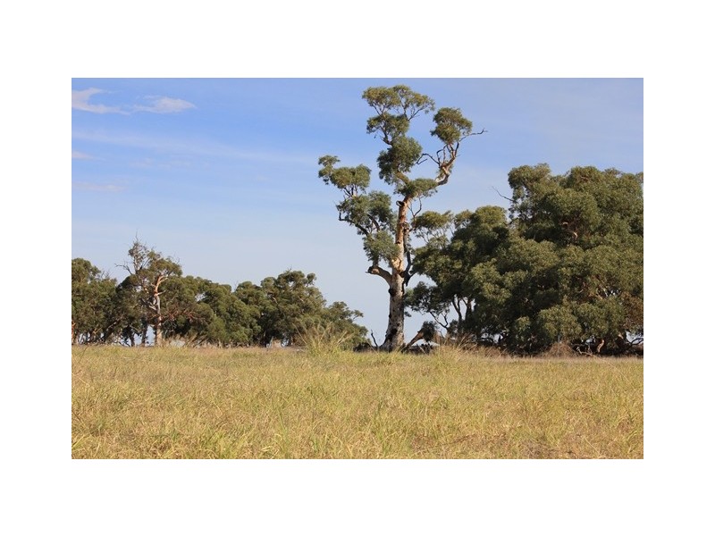 2166 Watheroo Road, Badgingarra WA 6521