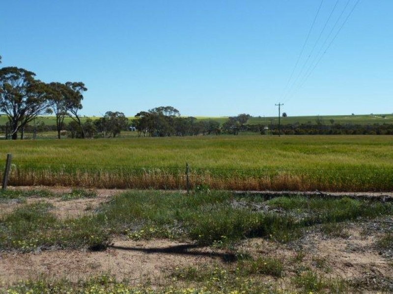 Billacabella – Doodenaning Road, Quairading WA 6383