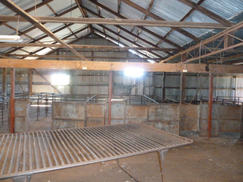 Billacabella – Doodenaning Road, Quairading WA 6383