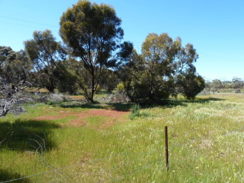 Billacabella – Doodenaning Road, Quairading WA 6383