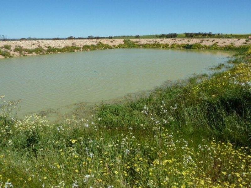 Billacabella – Doodenaning Road, Quairading WA 6383