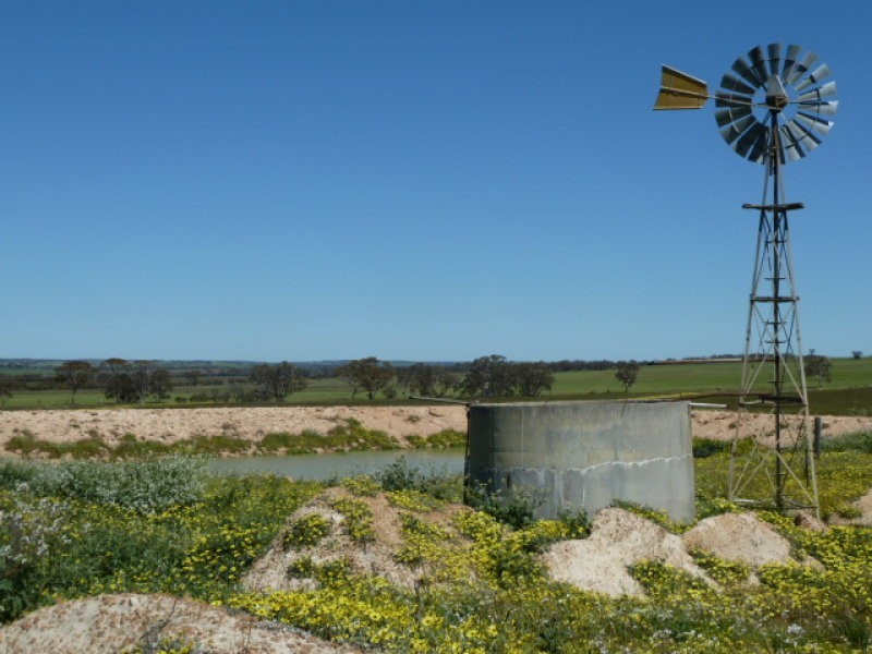 Billacabella – Doodenaning Road, Quairading WA 6383