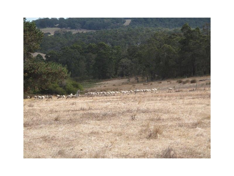 4257 Parker Road, Denmark WA 6333