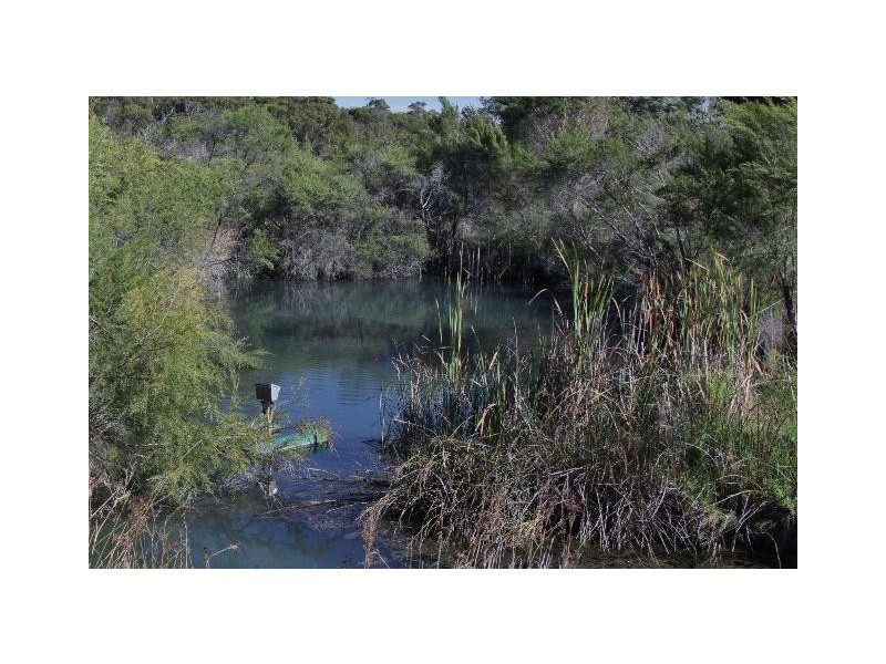 ‘Tamaru’ and ‘Crandee’, Albany WA 6330