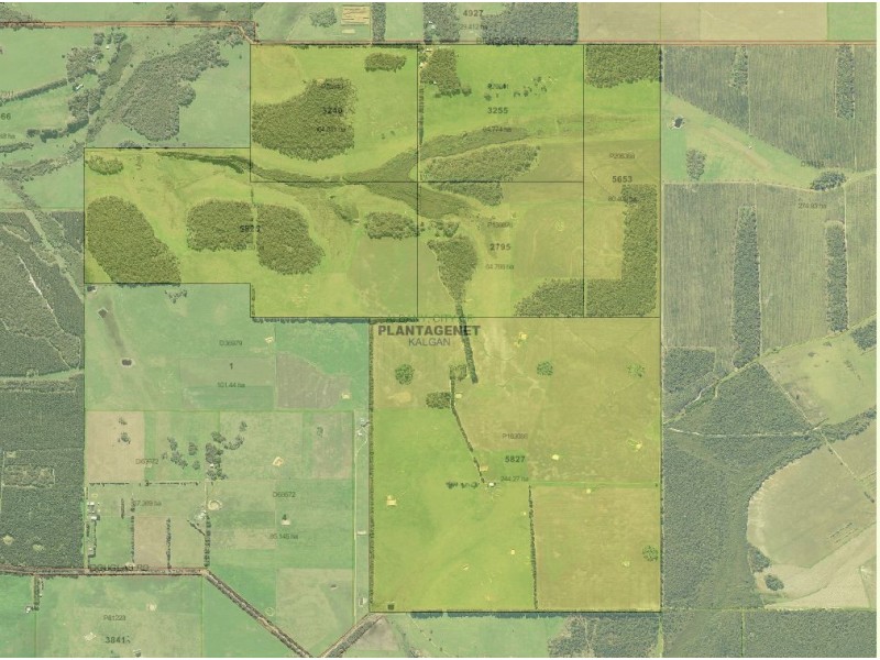 ‘Tamaru’ and ‘Crandee’, Albany WA 6330