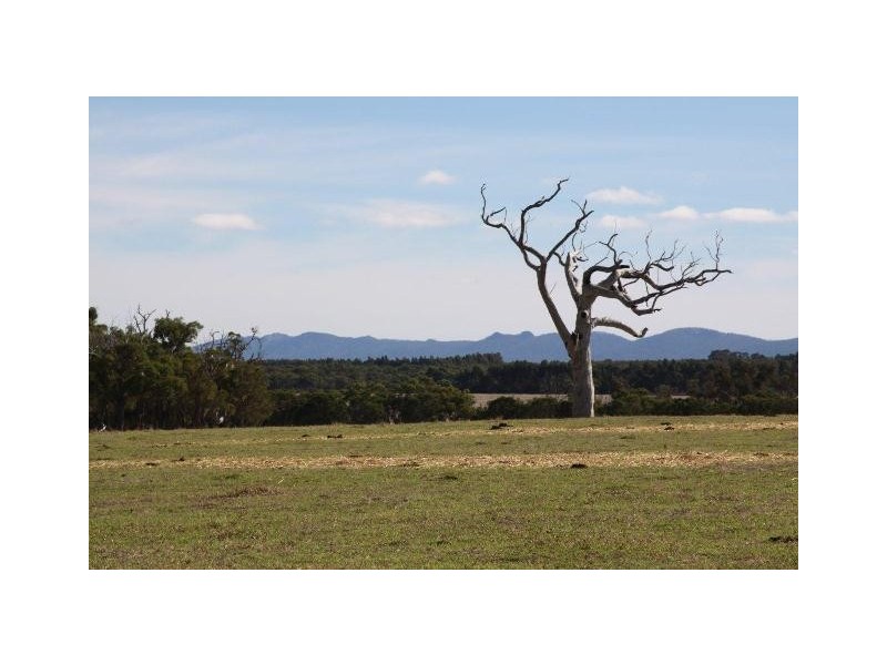‘Tamaru’ and ‘Crandee’, Albany WA 6330