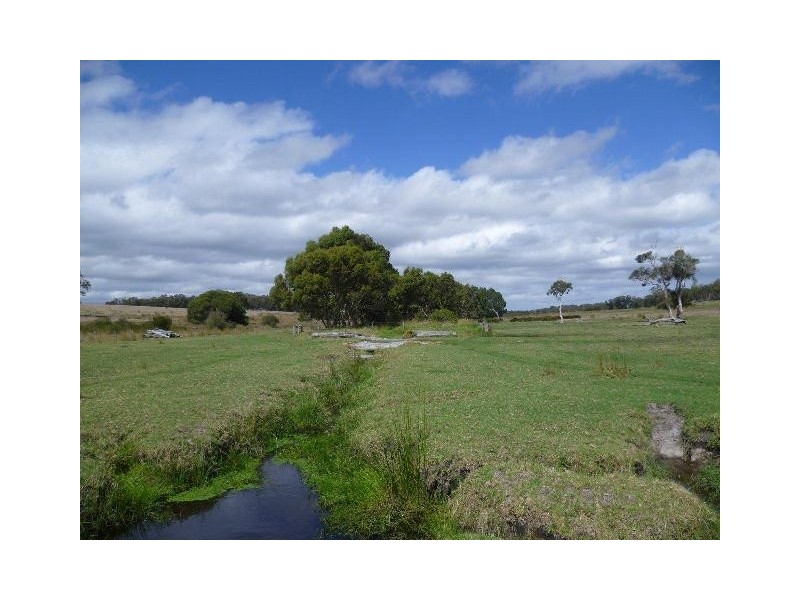‘Tamaru’ and ‘Crandee’, Albany WA 6330
