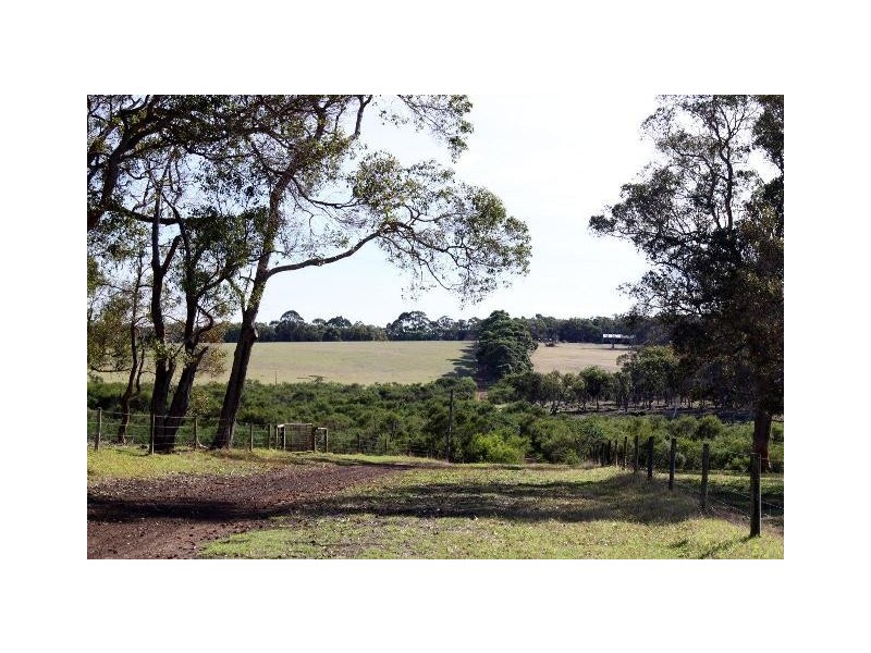 ‘Tamaru’ and ‘Crandee’, Albany WA 6330