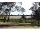 ‘Tamaru’ and ‘Crandee’, Albany WA 6330