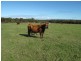 Lot 7287 Jarman Road, Albany WA 6330