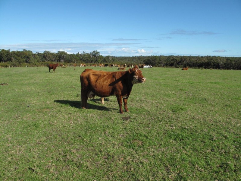 Lot 7287 Jarman Road, Albany WA 6330