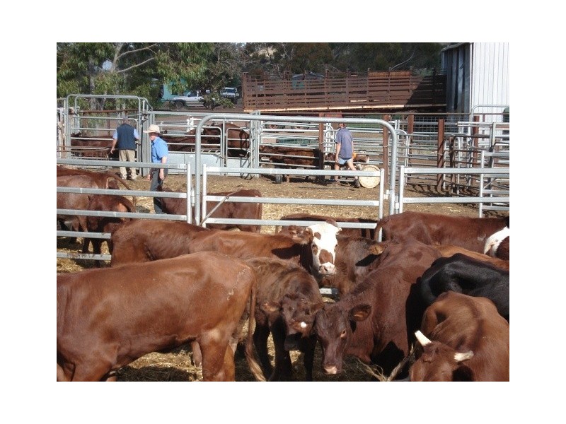 ‘Prenti Downs’ Station, Wiluna WA 6646