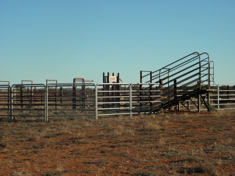 ‘Maranalgo Station’, Paynes Find WA 6612