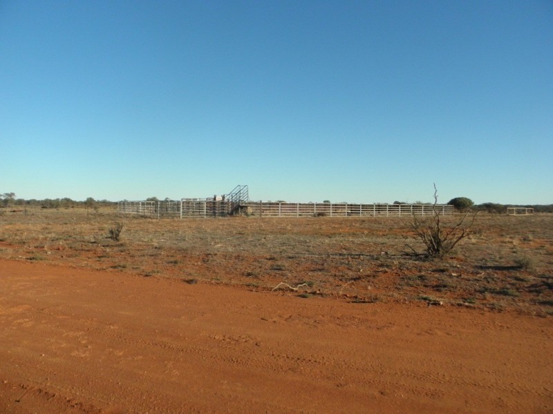 ‘Maranalgo Station’, Paynes Find WA 6612
