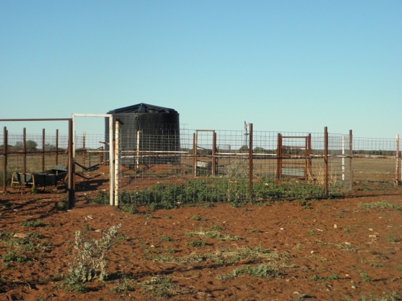 ‘Maranalgo Station’, Paynes Find WA 6612