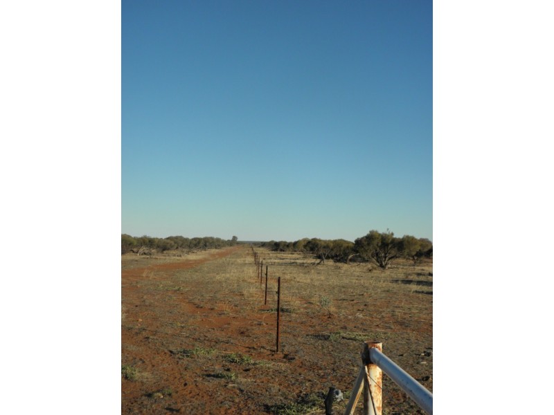 ‘Maranalgo Station’, Paynes Find WA 6612