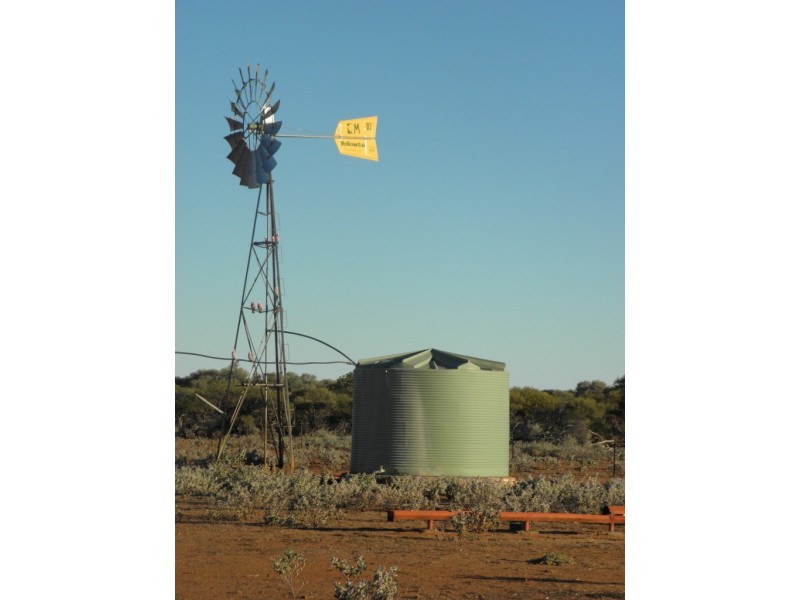 ‘Maranalgo Station’, Paynes Find WA 6612