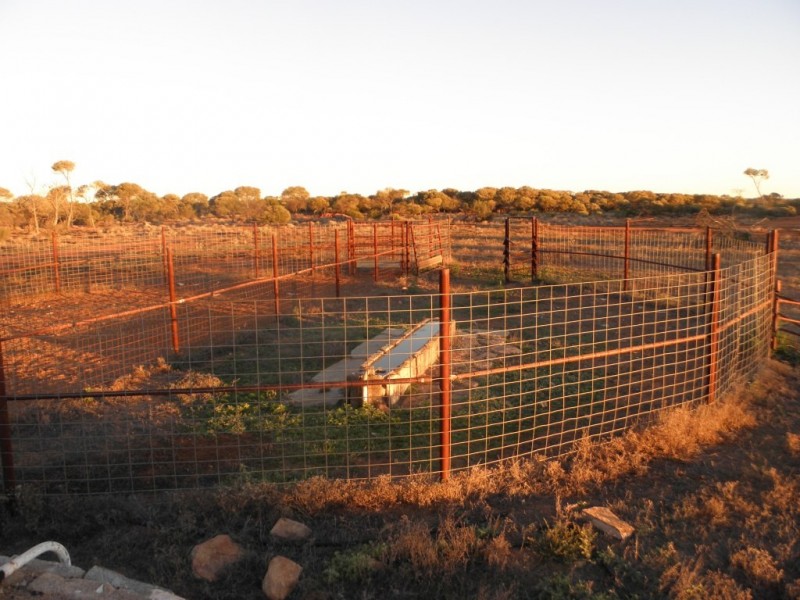‘Maranalgo Station’, Paynes Find WA 6612