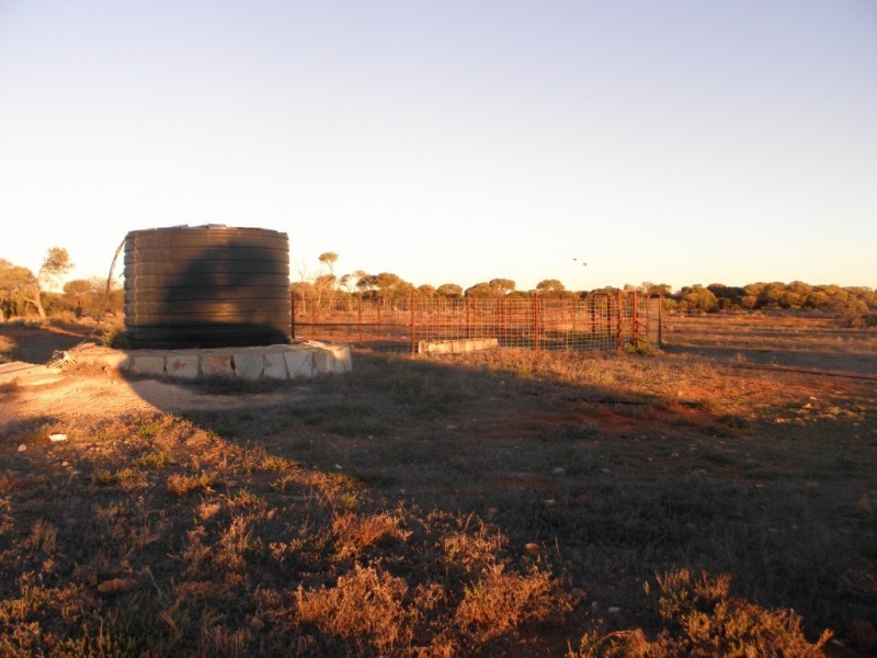‘Maranalgo Station’, Paynes Find WA 6612