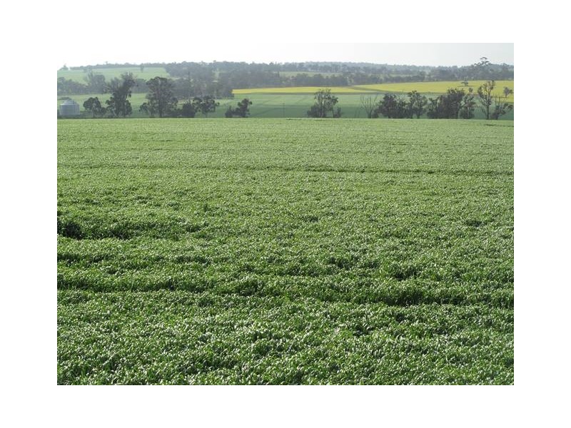 26860 Albany Highway, Cranbrook WA 6321