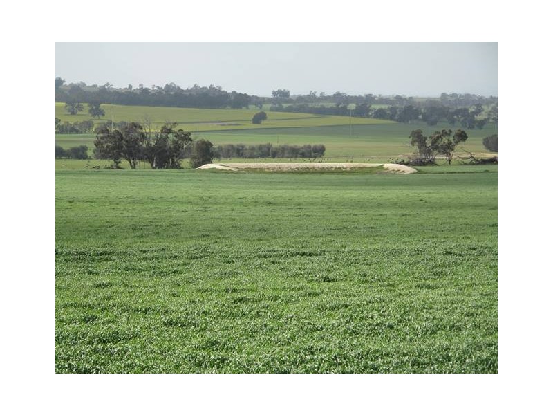 26860 Albany Highway, Cranbrook WA 6321