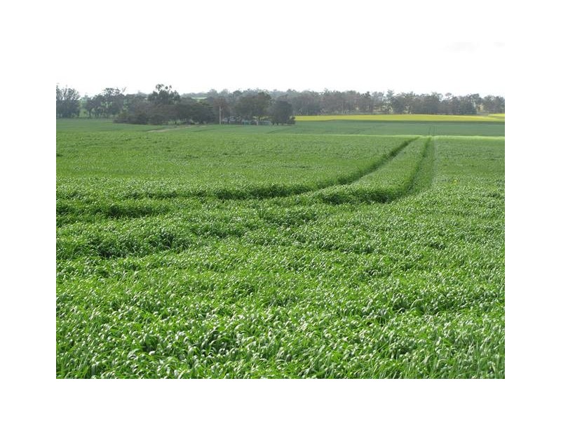 26860 Albany Highway, Cranbrook WA 6321