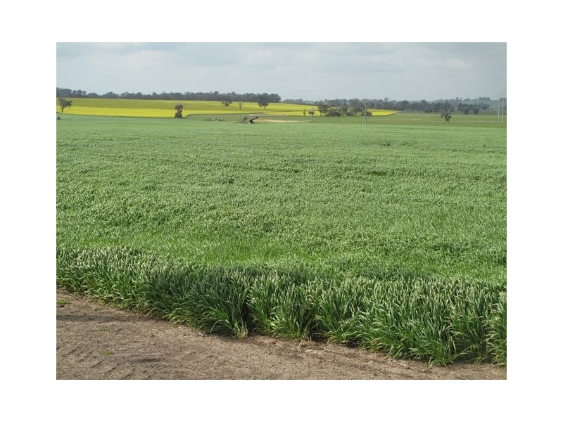 26860 Albany Highway, Cranbrook WA 6321