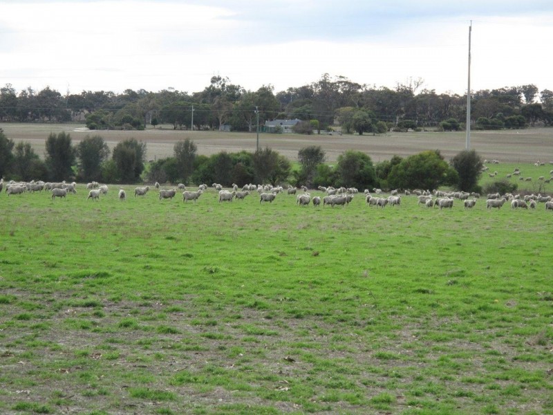 Lots 7129 and 6212 Albany Highway, Cranbrook WA 6321