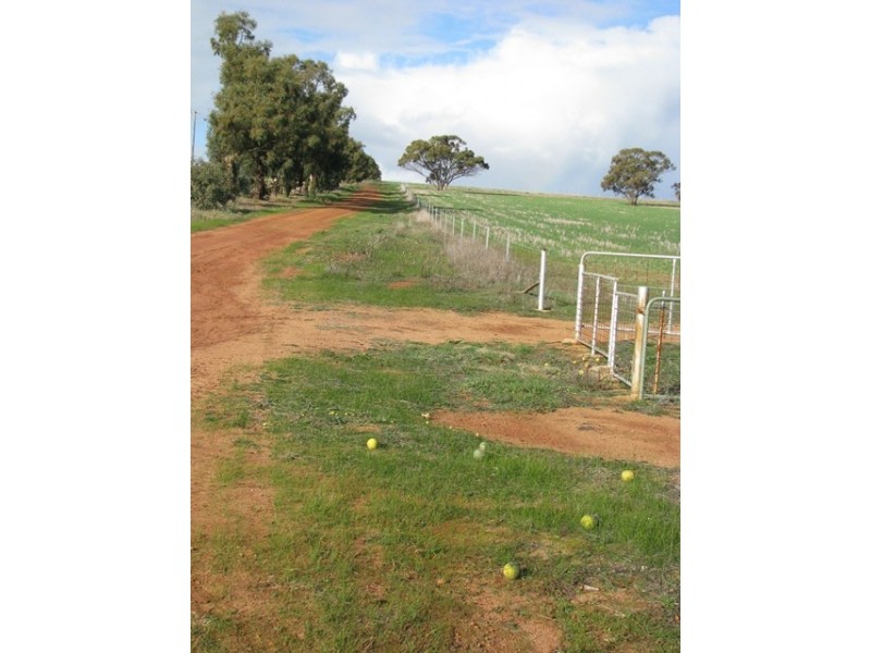 ‘Kolburn Farm’ Dandaragan Road, Dandaragan WA 6507