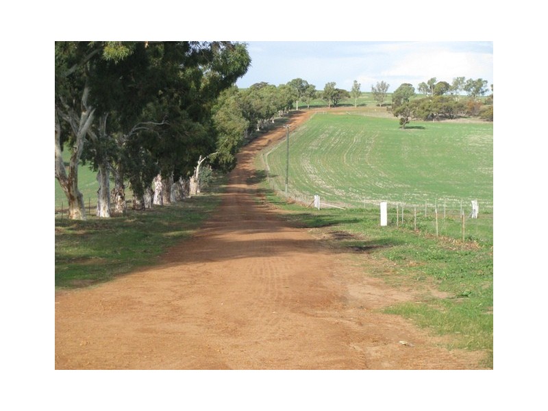 ‘Kolburn Farm’ Dandaragan Road, Dandaragan WA 6507