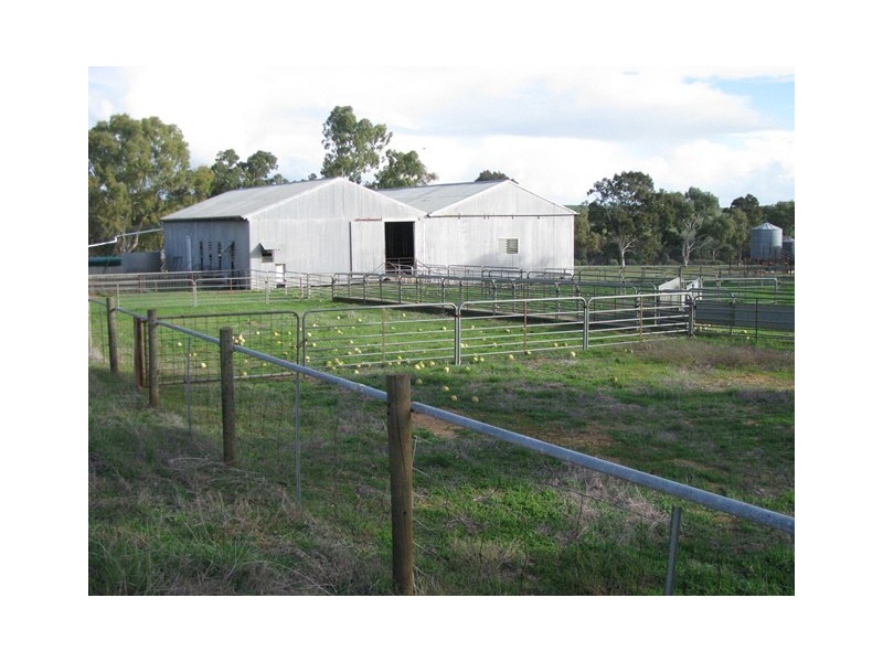 ‘Kolburn Farm’ Dandaragan Road, Dandaragan WA 6507