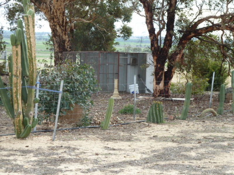 4091 Cunderdin – Quairading Road, Quairading WA 6383