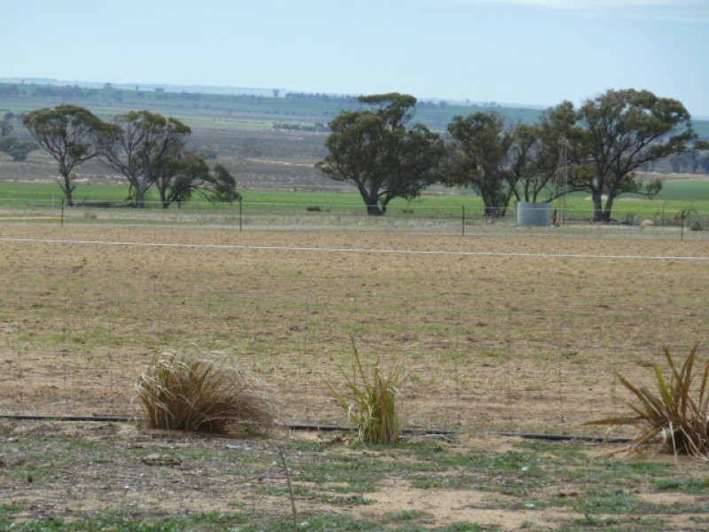4091 Cunderdin – Quairading Road, Quairading WA 6383