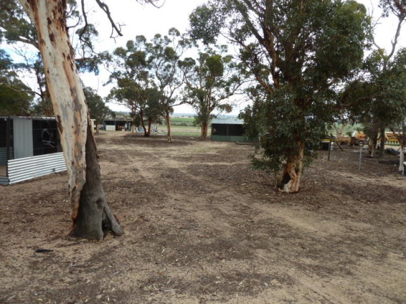 4091 Cunderdin – Quairading Road, Quairading WA 6383