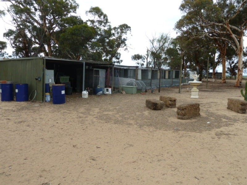 4091 Cunderdin – Quairading Road, Quairading WA 6383