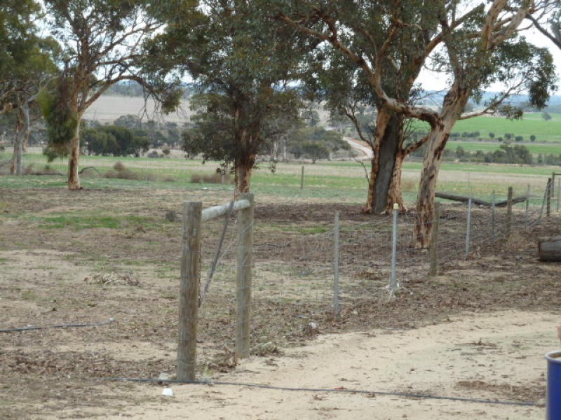 4091 Cunderdin – Quairading Road, Quairading WA 6383