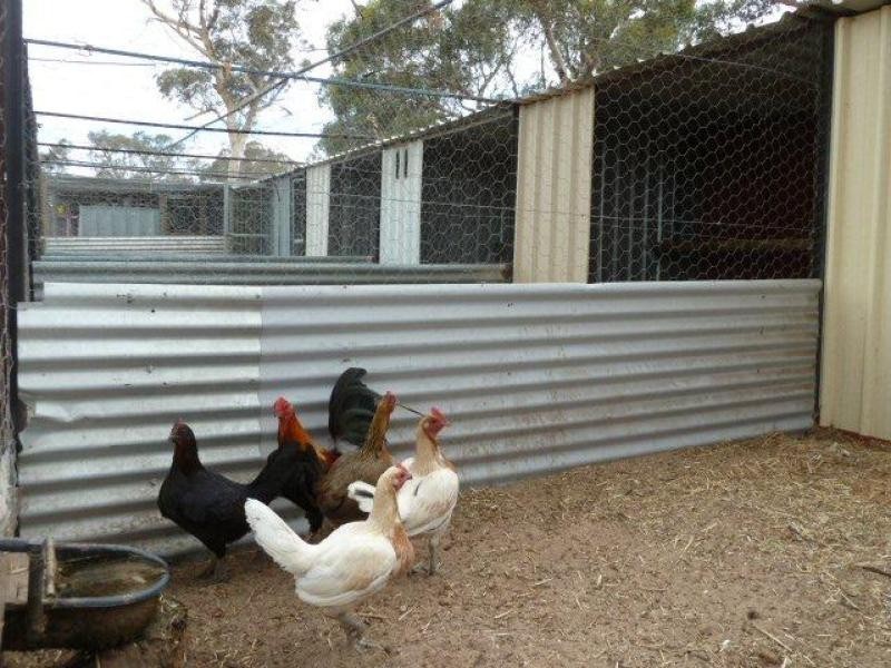 4091 Cunderdin – Quairading Road, Quairading WA 6383