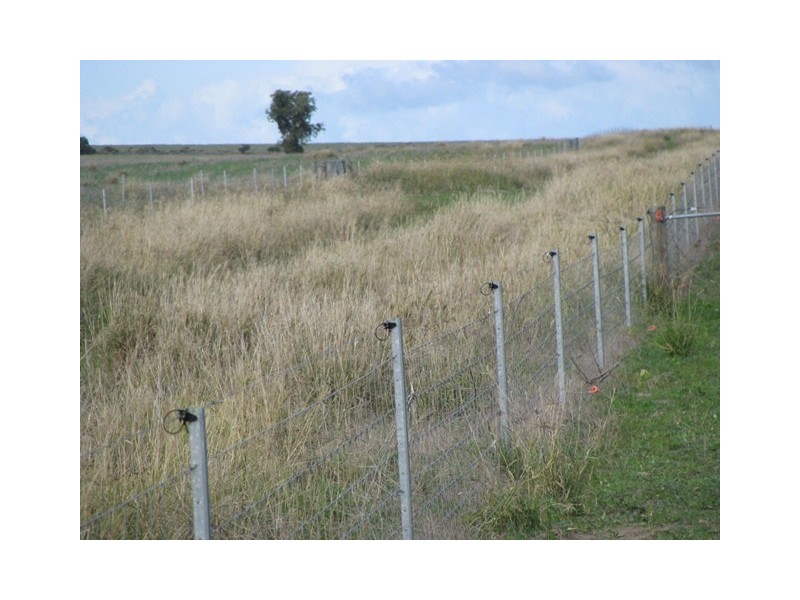 1253 Munbinea Road, Hill River WA 6521