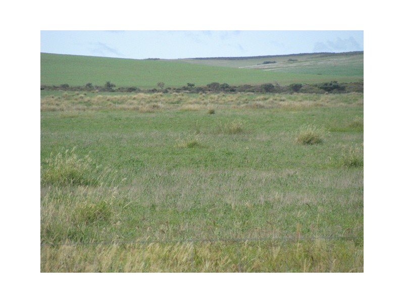 1253 Munbinea Road, Hill River WA 6521